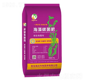 ����̼����-����