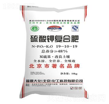 ����⛏ͺϷ�19-10-19-������