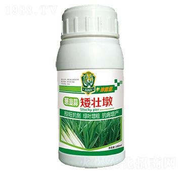 �[���Ⱛ�Ѷ�-���A����