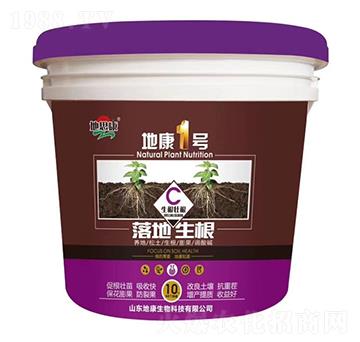 �ؿ�һ̖-�������-�ؿ�