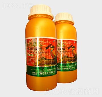 �t(y��)�þȸ��~���-��퍷ʘI(y��)