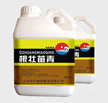 ���������_ʩ��-��퍷ʘI(y��)