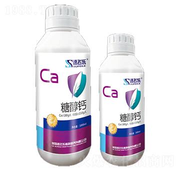 �Ǵ��}-���w��-���A����