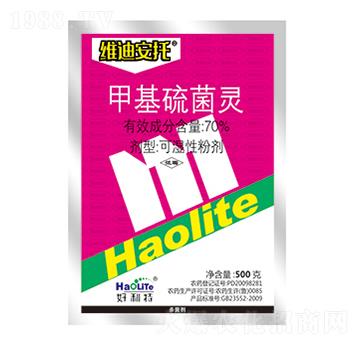 70%�׻�����`-�S�ϰ���-����������