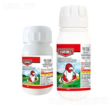 16%�׾S�����x(ch��ng)��-����������-����������