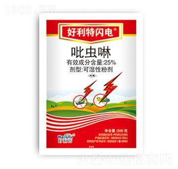 25%���x��-�������W�-����������