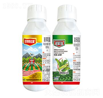 25��ÿ��(li��n)������-�������_(d��)��+�Ә��\-����������