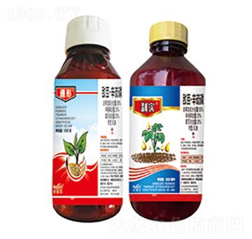 50%���١�������-����+�x��-����������