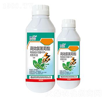 4.5%��Ч�������-����������