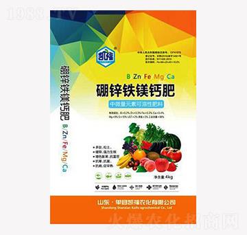 4kg���\�F�V�}��-���