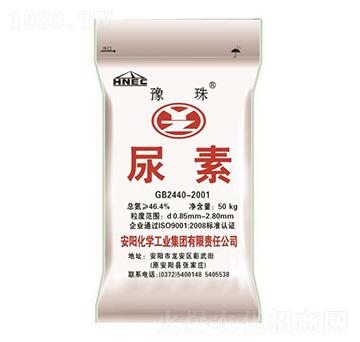 ����-ԥ��ʘI(y��)