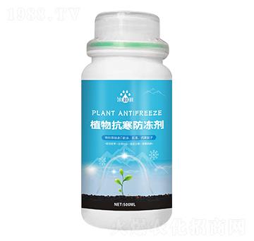 ֲ�￹��������-��p�p-�������