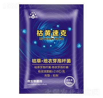 ���S�ٿˣ�΢���������-��p�p-�������