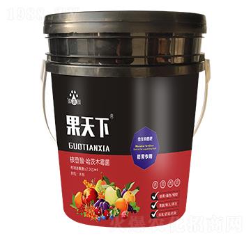 �����£�������ã�-��p�p-�������