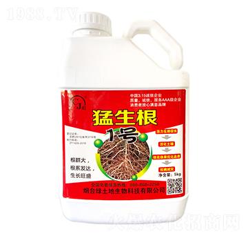 ������1̖-�G����