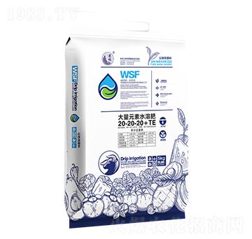 5kg����Ԫ��ˮ�ܷ�20-20-20+TE-�h(yu��n)�󱊵�