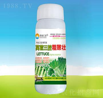 �n�����ش��ۉ�-�ĺ��R�r(n��ng)