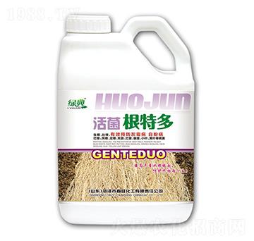 ������ض�-�G��-��������