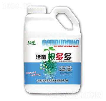 ��������-�G��-��������