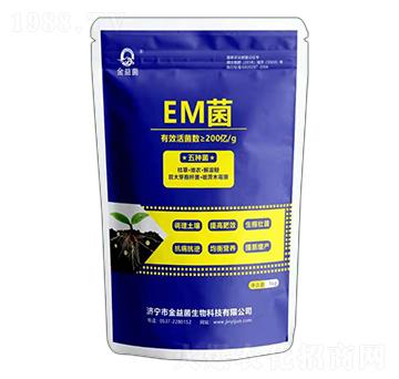 EM��-�����-��ɽ����