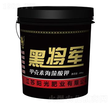 �ڌ�܊�ך��غ������-