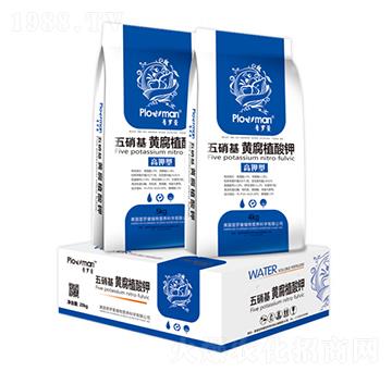 �������S��ֲ���-���_��-�(y��ng)��ʘI(y��)