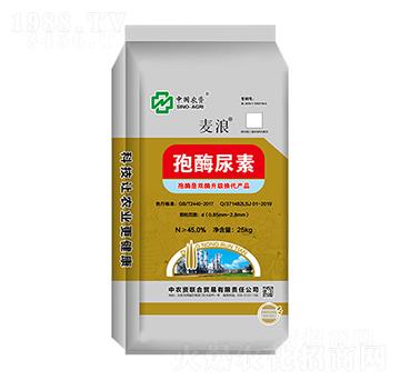 ��ø����-����-���r����