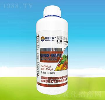 ����̩���Ǵ��}-�ĺ��R�r(n��ng)