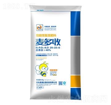 �����ԏ�(f��)�����20-22-6-������-�����t