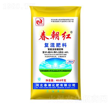 ��(f��)�����16-24-6-�����t