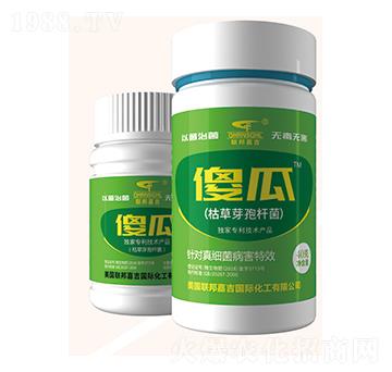 �ݲ�ѿ�ߗU��-ɵ��-��μ�