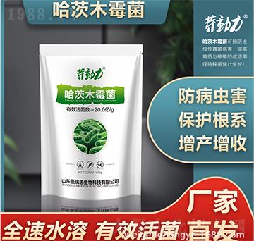 ����ľù��-΢���r(n��ng)�I(y��)