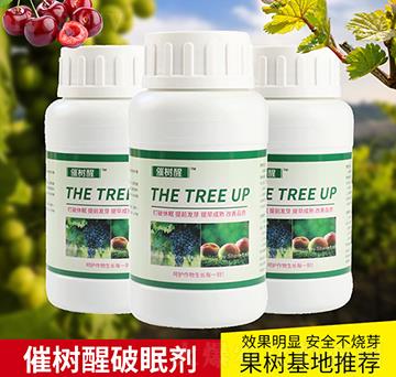 �ߘ������߄�-΢���r(n��ng)�I(y��)