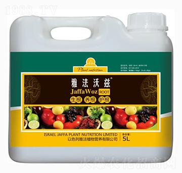 5L�ŷ���Ɲ-�ŷ�