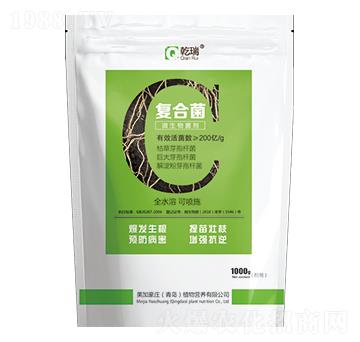 �ͺϾ�΢�������-���Ӻ��f