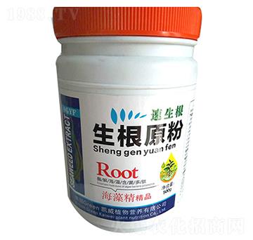 ����ԭ��-�����r(n��ng)�I(y��)