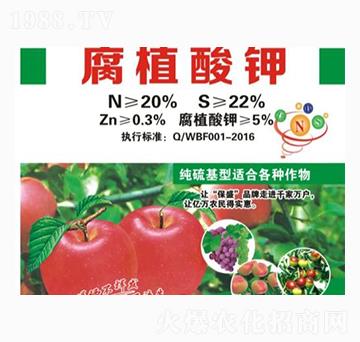 ��ֲ���-��ʢ�ʘI(y��)