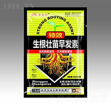 ����������l(f��)��-��̫�(y��ng)�ʘI(y��)