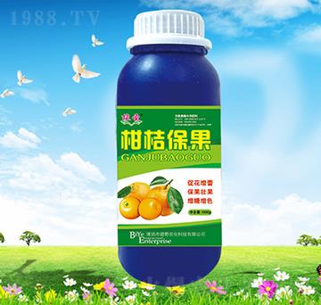 �̽۱���-��Ұ�r��