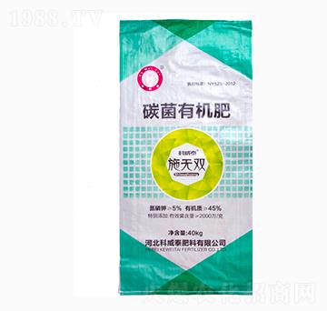 ʩ�o�p̼���ЙC(j��)��-����̩