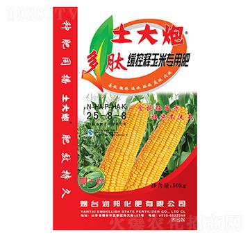 ��������׌��÷�25-8-8-�����