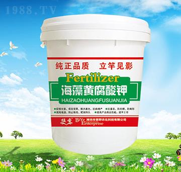 �����S�����-ֲʥ-��Ұ�r��