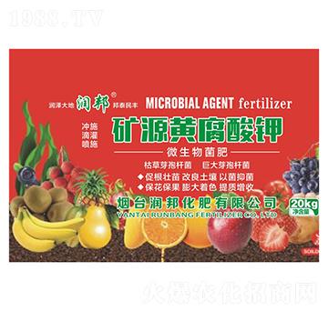 �VԴ�S����⛣�΢������ʣ�-�����