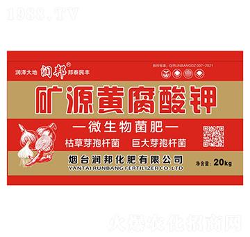 �VԴ�S����⛣�΢������ʣ�-����