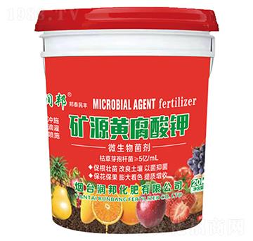 ΢�������-�VԴ�S�����-��(r��n)���