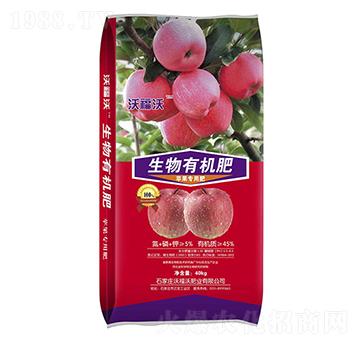 �O�����������ЙC��-�ָ���