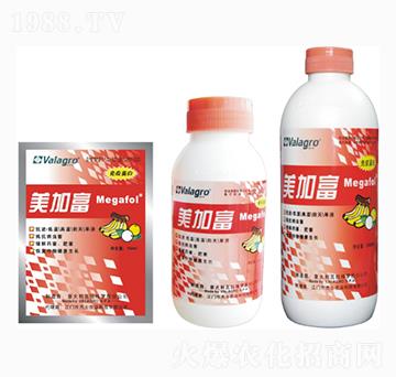 ���Ӹ��������߄�-��ʿ�r�I(y��)