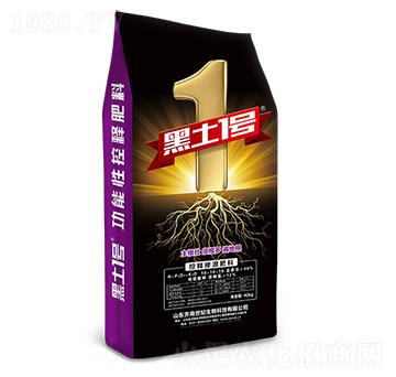 ��ጓ������-����1̖