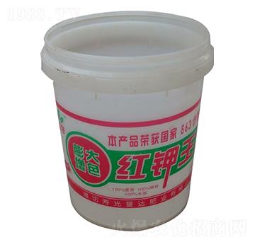 �����ɫ�t���-�u�_�ʘI(y��)