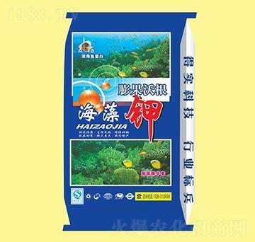 ����Ѹ������-�u(y��)�_(d��)�ʘI(y��)